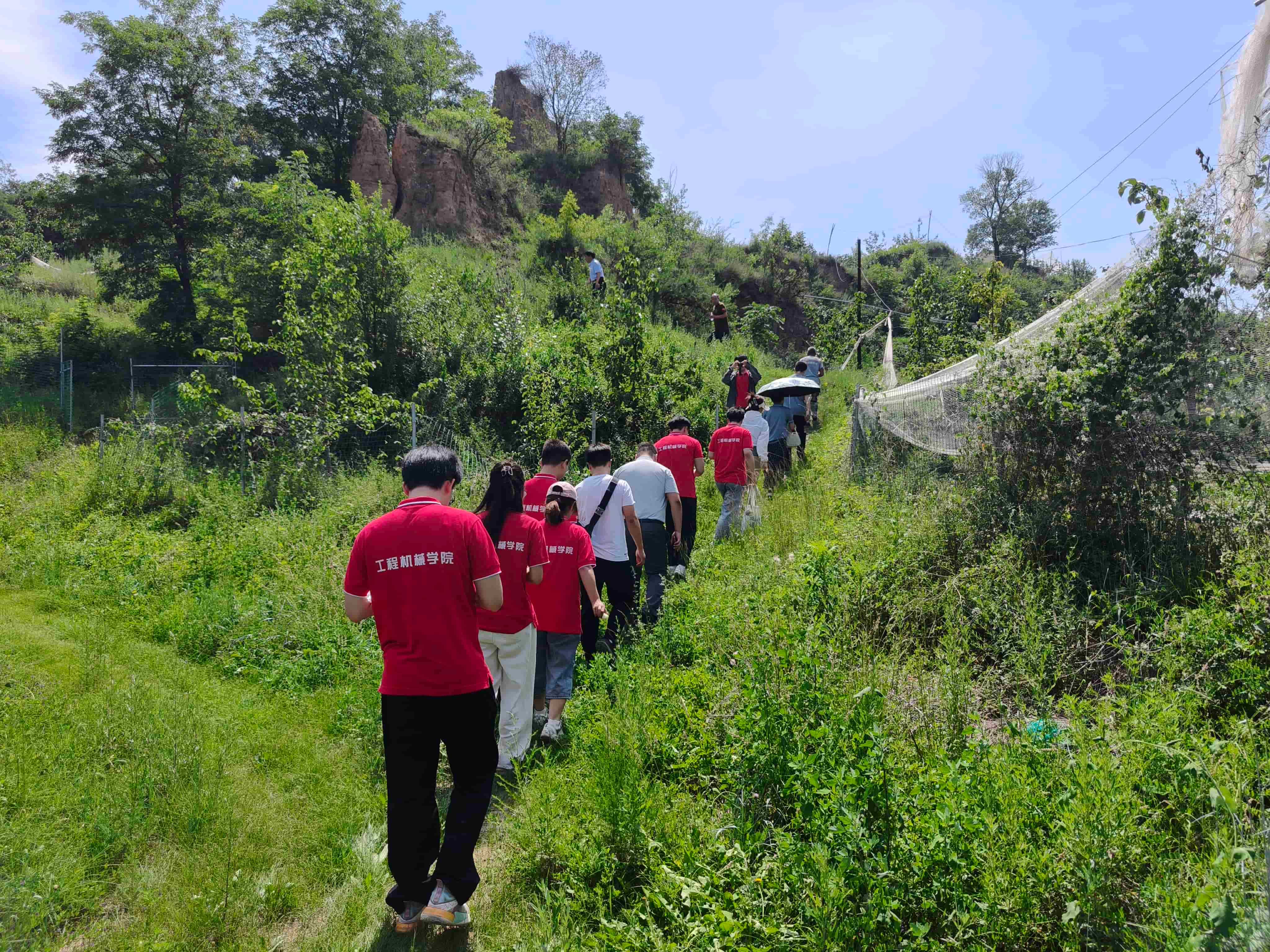 1_compressed (1).jpg